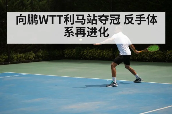 向鹏WTT利马站夺冠 反手体系再进化